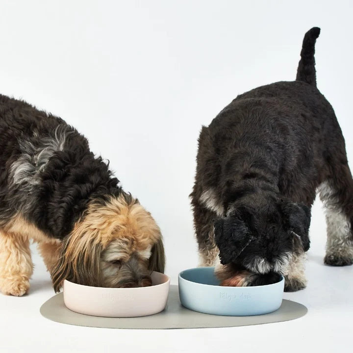 Lily and Dash - Ceramic Pet Bowl