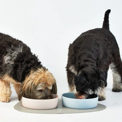 Lily and Dash - Ceramic Pet Bowl